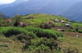 کد ملک100, زمین    ییلاقی